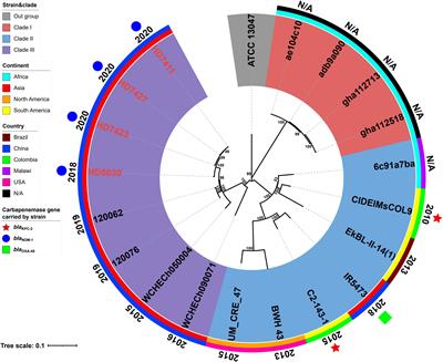 Emergence of blaNDM–1-carrying Enterobacter chengduensis in China